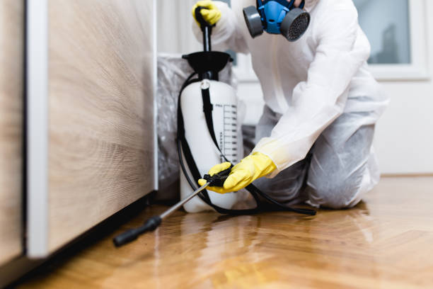 Best Pest Control Near Me in Fruitland, NC