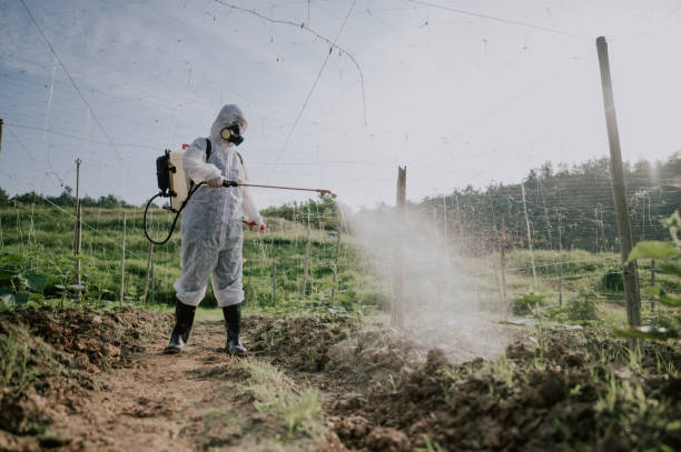 Best Ant Control Services  in Fruitland, NC