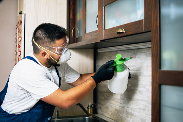 Best Wasp Removal Services  in Fruitland, NC