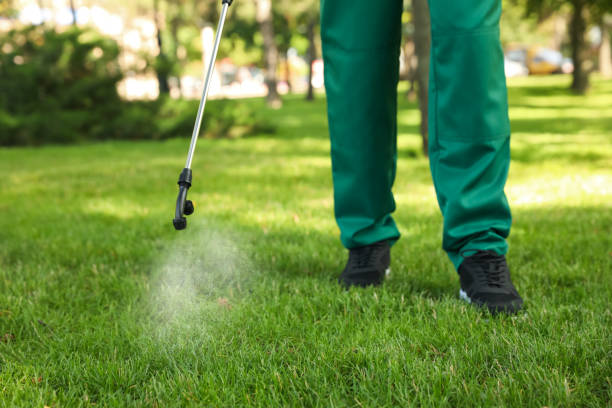 Best Cockroach Control Services  in Fruitland, NC
