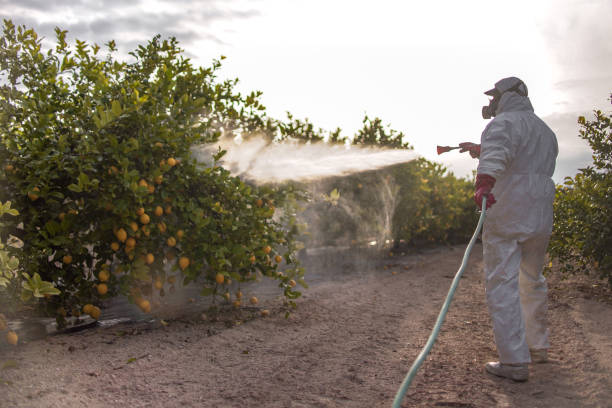 Best Insect Control  in Fruitland, NC