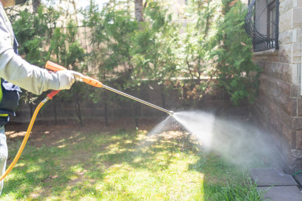 Best Insect Control  in Fruitland, NC