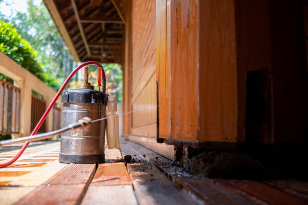 Best Pest Removal Services  in Fruitland, NC