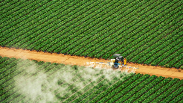 Reliable Fruitland, NC Pest Control Solutions