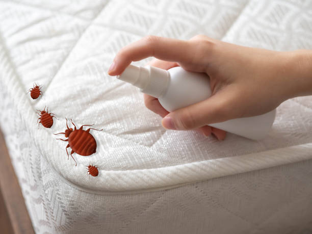 Best Emergency Pest Control  in Fruitland, NC